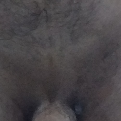 Xeyal