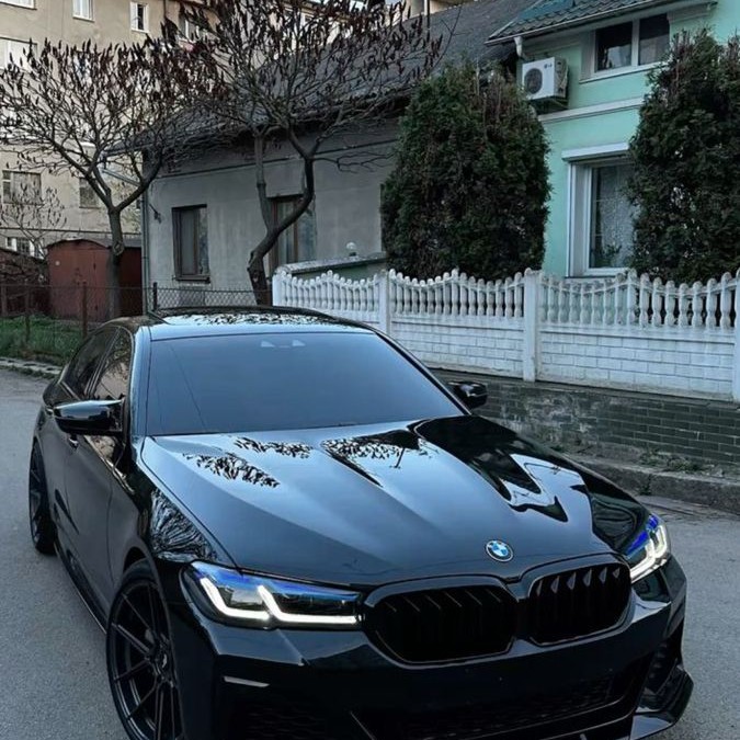 Elmar_yy