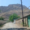 Muhemed