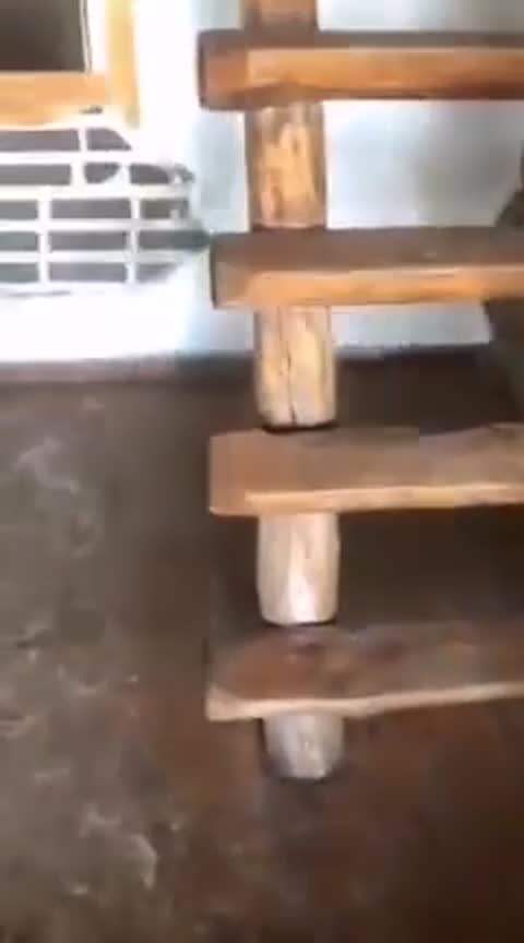 Mansardda